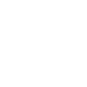 iso9001-w
